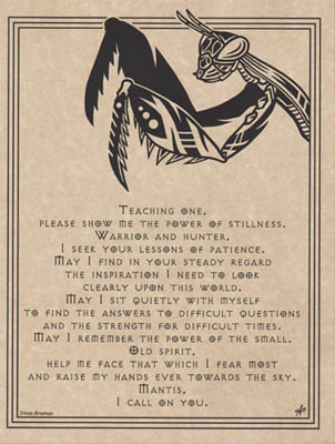 Mantis Prayer (image for) Mantis Prayer